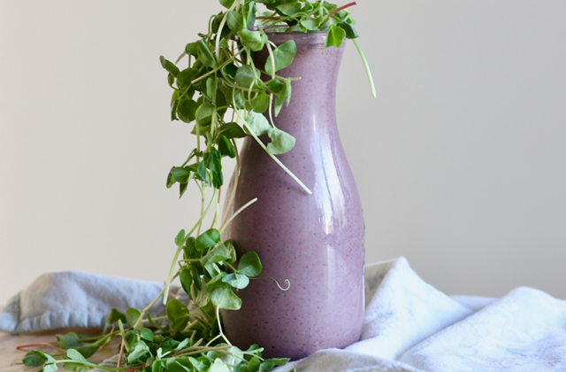 Purple People Eater Smoothie With Local Sprouts