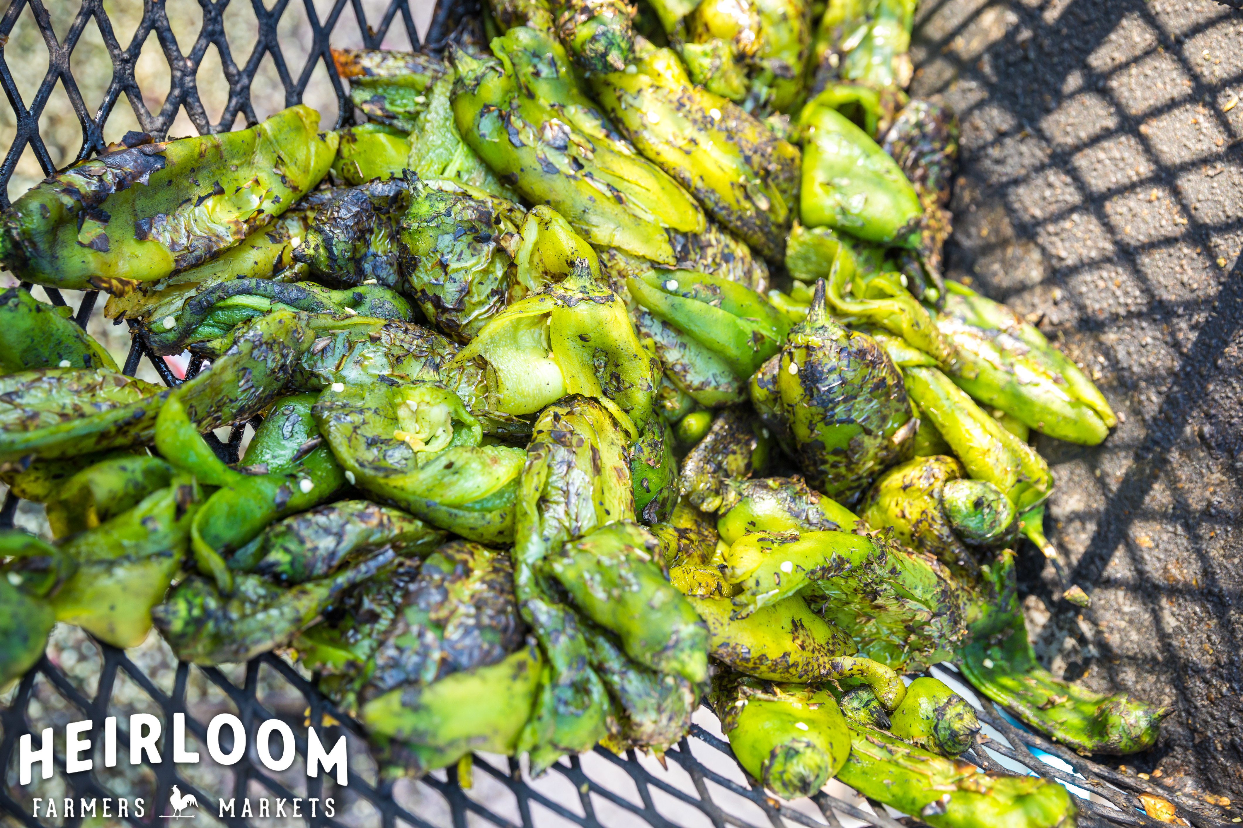 Roasted Hatch Chile Salsa / Heirloom Farmers Markets