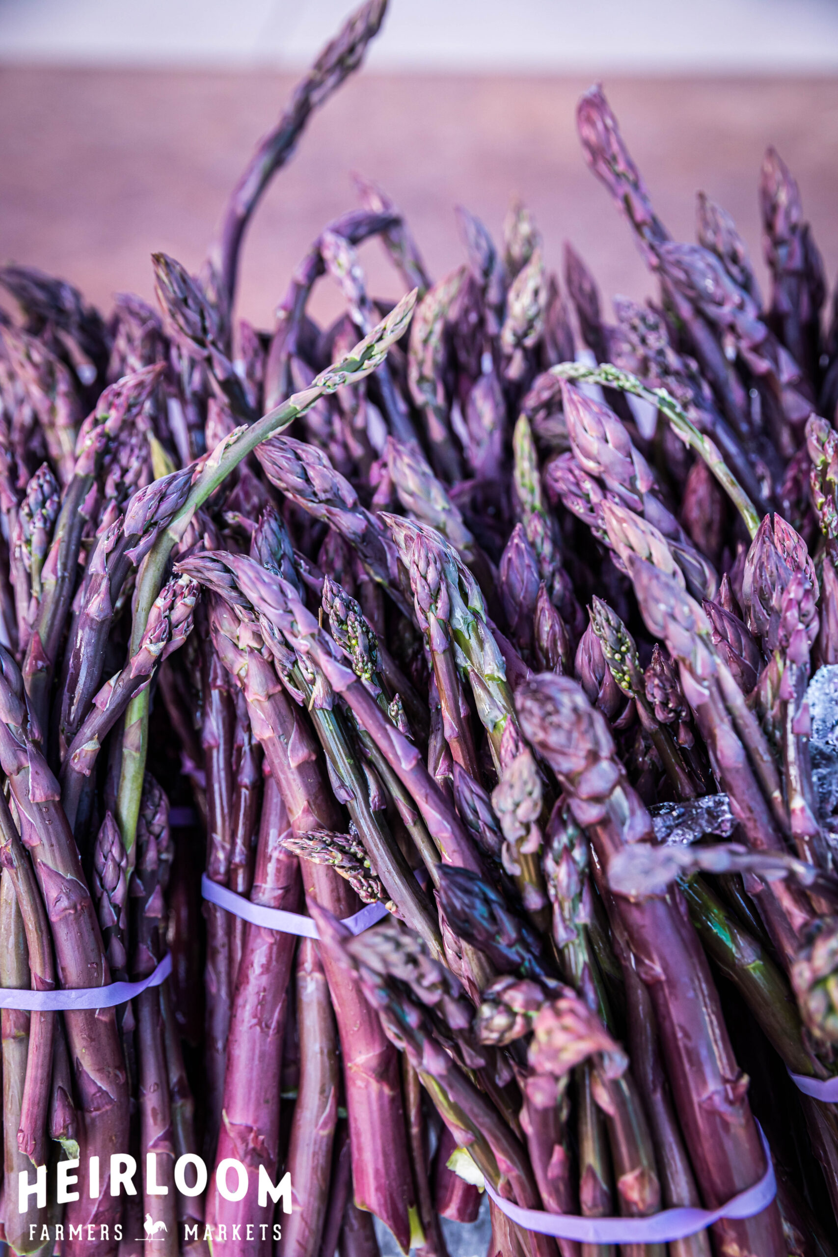Shaved Asparagus Salad / Heirloom Farmers Markets