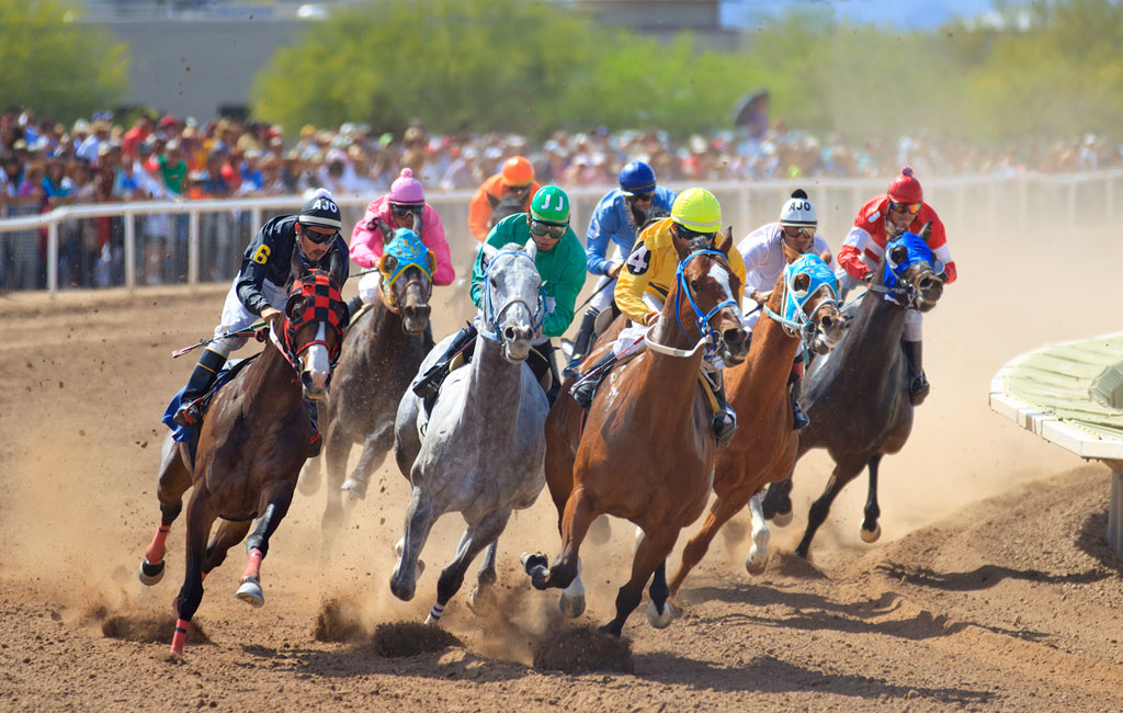 Rillito Park Horse Racing Starts • Shop Early & Park Free / Heirloom