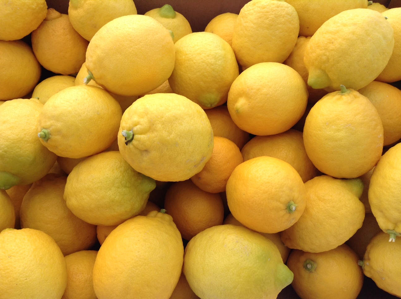 Honey Lavender Lemonade / Heirloom Farmers Markets