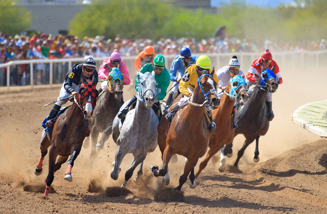 Rillito Park Horse Racing and The Sunday Farmers Market / Heirloom